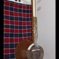 کمانچه حرفه ای مراحمی