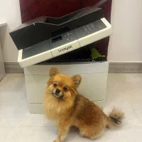 پرینتر لیزری رنگی لکسمارک