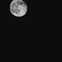 Samsung s 20 fe|موبایل|نقده, |دیوار