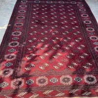 فرش ترکمنی|فرش|گنبد کاووس, |دیوار