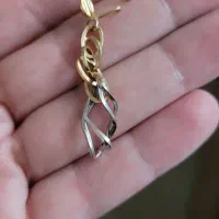 گوشواره طلا گمشده