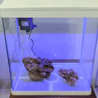 آکواریوم دلسا مدل k390