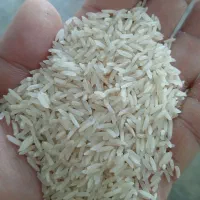 انواع طارم و فجر و...