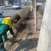 کارگر ساده فضای سبز