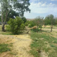 باغ سند دار در میلان