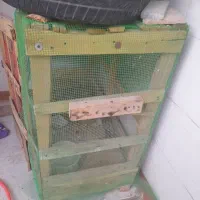 قفس چوبی مرغ
