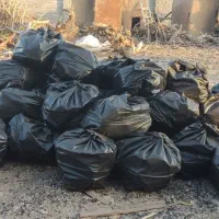 زغال کبابی|عمدهفروشی|یزد, |دیوار