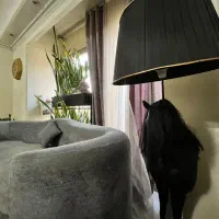 اجاره سوییت اپارتمان ماهانه هفتگی|اجارهٔ کوتاه‌مدت آپارتمان و سوئیت|کرج, مهرویلا جنوبی|دیوار