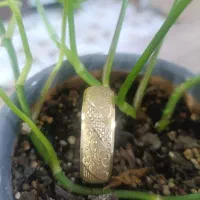 النگو بچگانه طلا