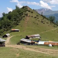 لیدر گیلانگردی|تور و چارتر|رشت, گیل|دیوار