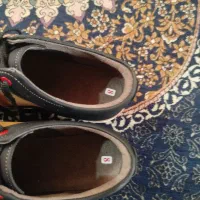 کفش نونو|کیف، کفش، کمربند|زابل, |دیوار