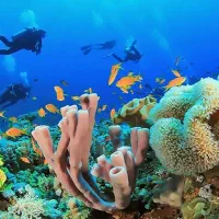 تور کیش// با اقامت لوکس وقیمت ویژه