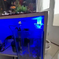 آکواریوم با کلیه وسایل