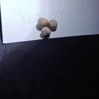 سنگ وگوهر قیمتی کمیاب|کلکسیون اشیاء عتیقه|تهران, مختاری|دیوار