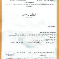 واگذاری برند غذایی