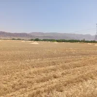 پرس کاه و کاه گندم