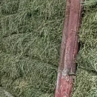 یونجه پرس یونجه