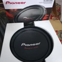 سیستم ساب پاییونر