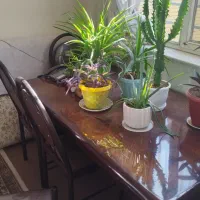 نهارخوریشش نفره|میز و صندلی غذاخوری|فولادشهر, A6|دیوار