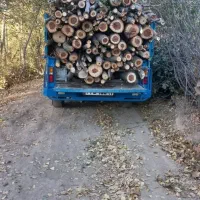 خریدفروش چوب