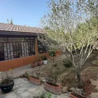 باغ نقلی -اشکاوند