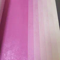 کاغذ دیواری خارجی  فروش ویژه|مصالح و تجهیزات ساختمان|کرج, دهقان ویلا|دیوار