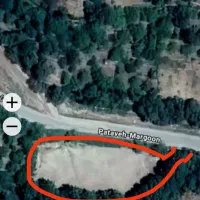 زمین کشاورزی و برنجکاری