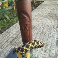 قلیان دوسیب|کوهنوردی و کمپینگ|کردکوی, |دیوار