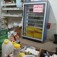 دستگاه جوجه کشی