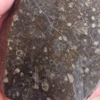 شهاب‌سنگ قمری ظفار عمان