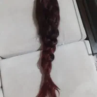 کلاه گیس.