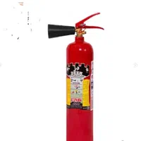 فروش و شارژ انواع کپسول های آتش نشانی و اکسیژن|خدمات پیشه و مهارت|رشت, بوسار|دیوار