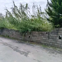 فروش زمین خشت سر ، حد فاصل محمود آباد و ایزدشهر|فروش زمین و ملک کلنگی|ایزدشهر, |دیوار