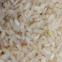برنج کامفیروزی و خرده برنج کامفیروزی درجه یک بشرط
