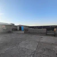 دامداری|فروش دفتر صنعتی، کشاورزی، تجاری|سوسنگرد, |دیوار