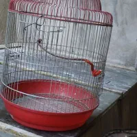 قفس پرنده و حیوانات