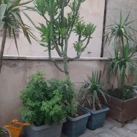 قیمت توافقی