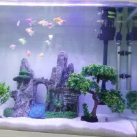 اکواریوم شیشه خم|ماهی|اسلامشهر, شهرک قائمیه|دیوار