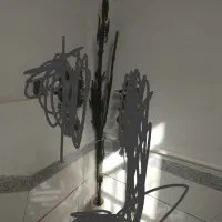 کاکتوس بزرگ