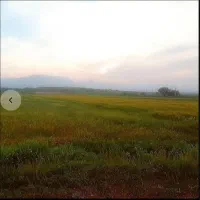 زمین چغادون