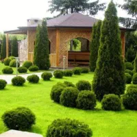 اَنجام باغبانیِ منزل وکاشت گلدان وباغچه وفضای سبز|خدمات باغبانی و درختکاری|صدرا-فارس, باغشهر گلبهار صدرا|دیوار