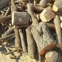 خرید انواع چوب و درخت|خدمات باغبانی و درختکاری|شوشتر, |دیوار