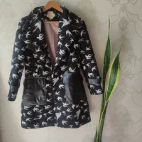 پالتووبارانی|لباس|اردبیل, |دیوار