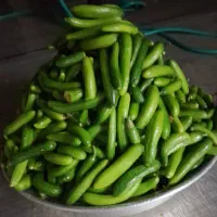 استخدام کارگرساده اتباع یا ایرانی