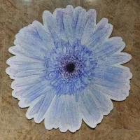 پادری گل زیبا|پادری|تهران, تهرانپارس غربی|دیوار