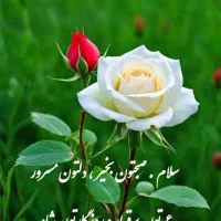 خدمات باغ و باغبانی