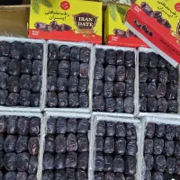 فروش خرمای مضافتی بم