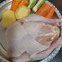 غذای خانگی گربه