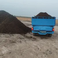 کودگاوی