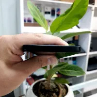 شیائومی Poco C75 ( رنگ مشکی قیمت اقتصادی )|موبایل|کرج, گوهردشت|دیوار